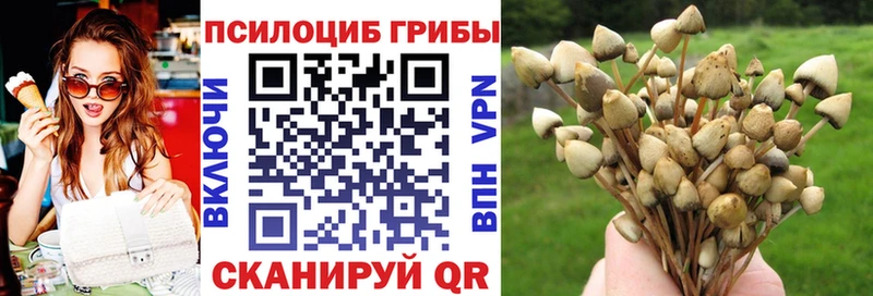 Галлюциногенные грибы прущие грибы  Орлов 